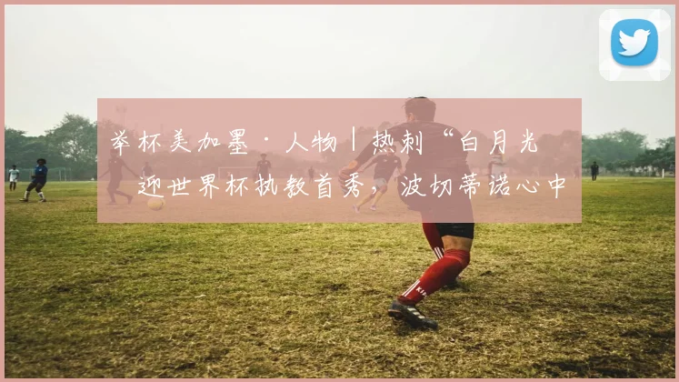 举杯美加墨·人物|热刺“白月光”迎世界杯执教首秀,波切蒂诺心中一直有个结