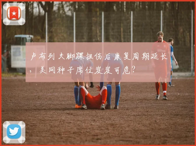 卢布列夫脚踝扭伤后康复周期延长，美网种子席位岌岌可危？